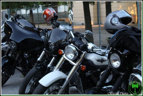 IMG 9887-Copy-2
