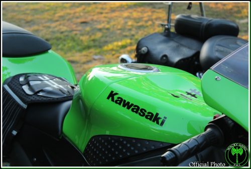 IMG 9897-Copy-2