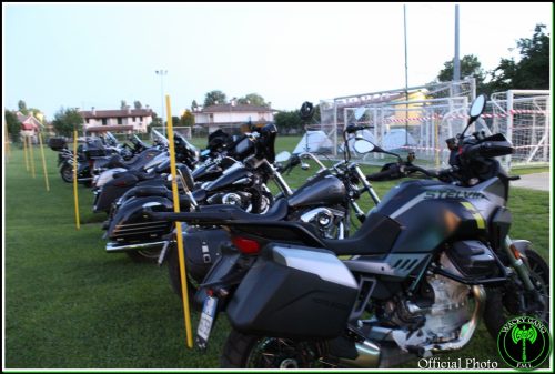 IMG 9933-Copy